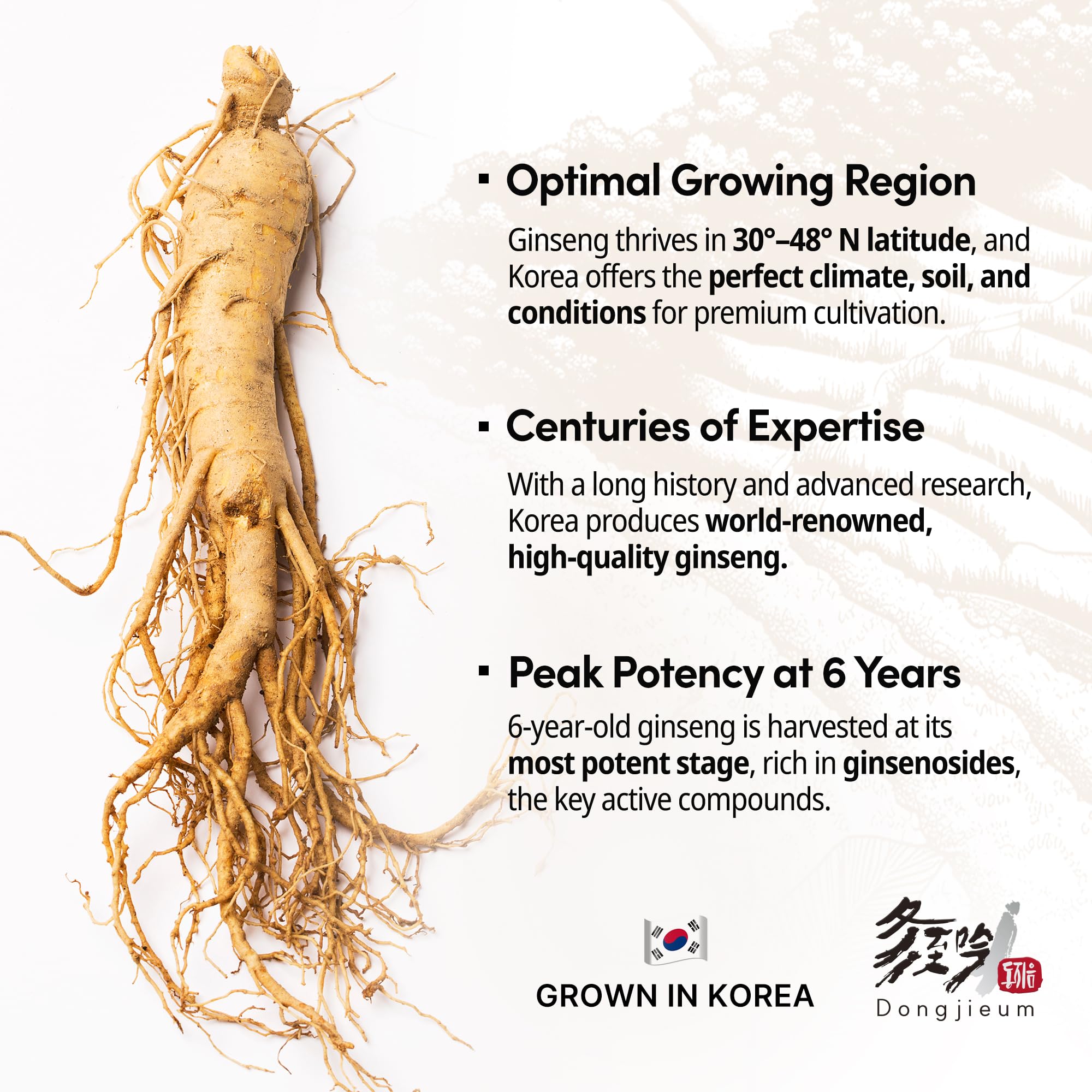 Dongjieum Ginseng Rouge Coreen: capsules vegan faciles a avaler.