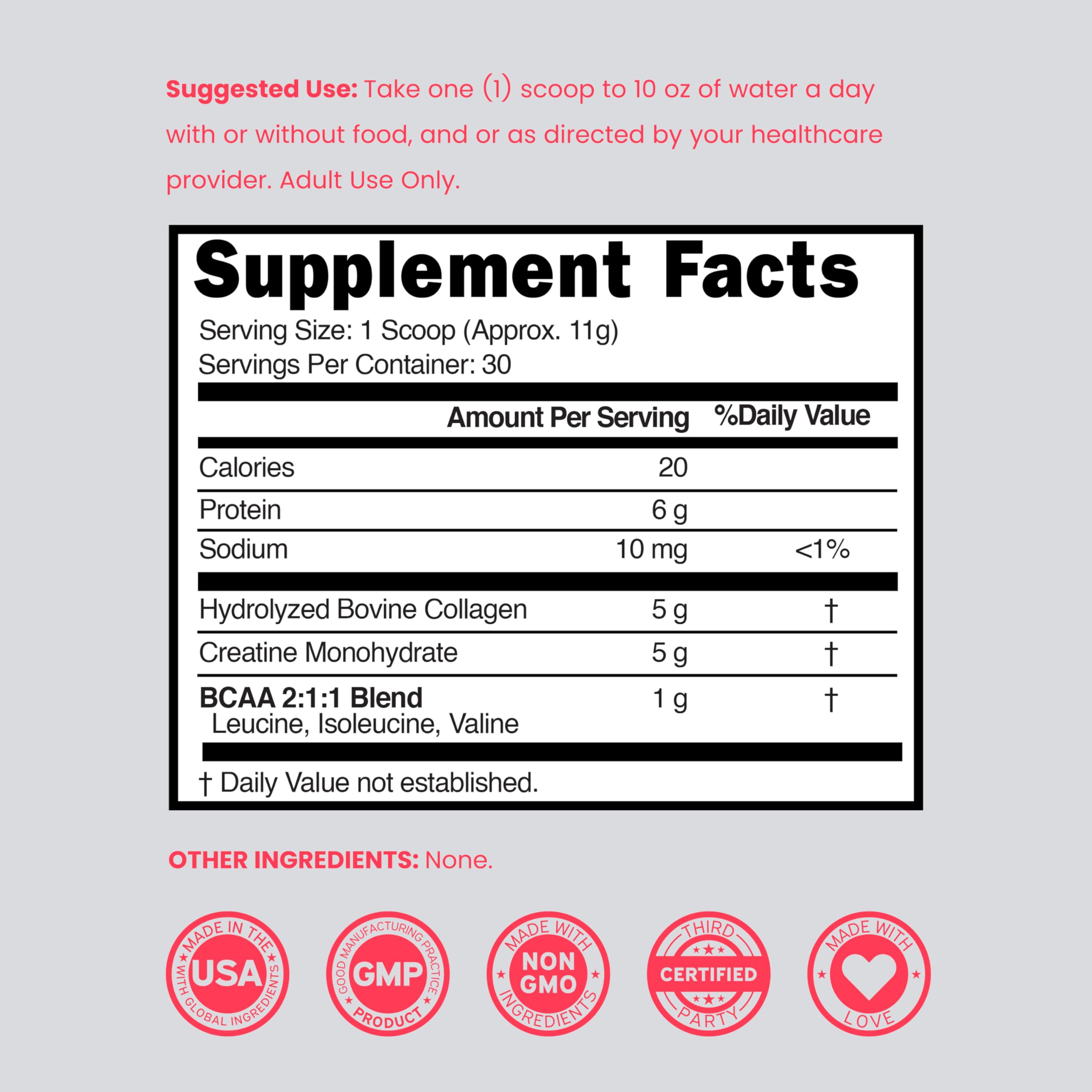 DORADO NUTRITION Shaker – préparation rapide après entraînement.