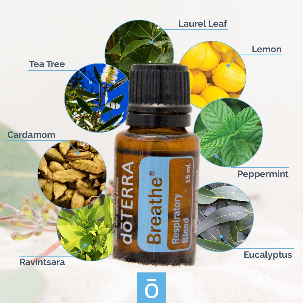 doTERRA Breathe application sur poitrine et dos pour respiration plus fluide.