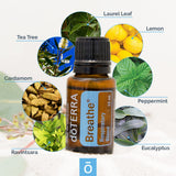 doTERRA Breathe application sur poitrine et dos pour respiration plus fluide.