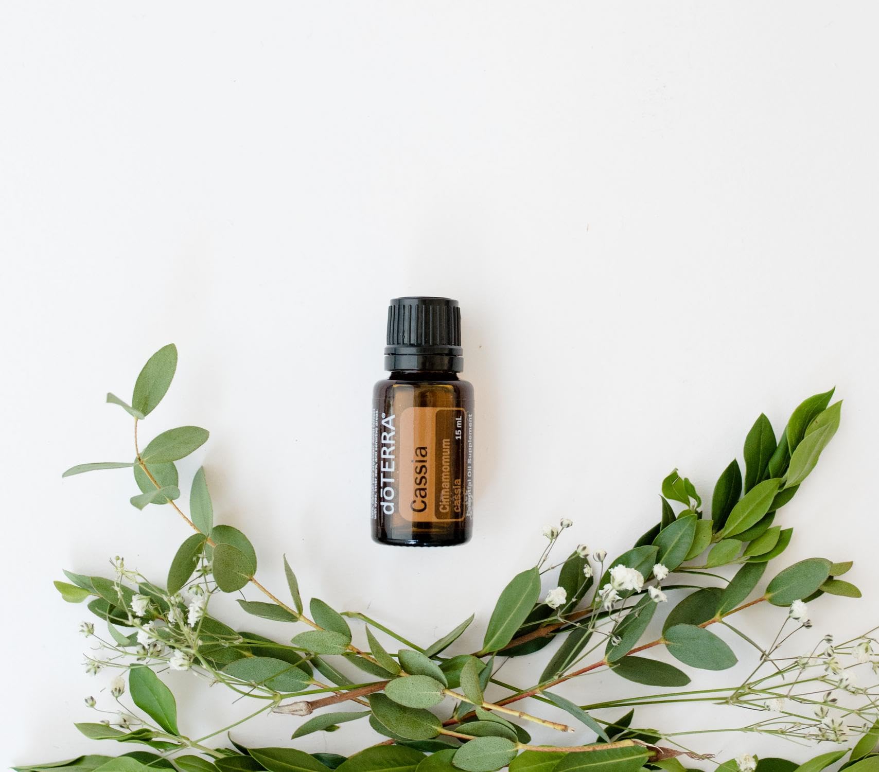Cassia DoTERRA – arôme épicé pour parfumer des mélanges et diffuser.