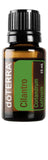DoTERRA huile coriandre en bouteille, arôme frais idéal pour cuisiner