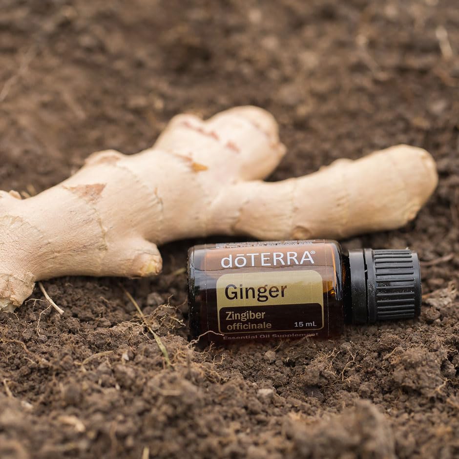Pipette doTERRA Gingembre huile essentielle: gouttes faciles pour diffusion.