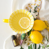 doTERRA Lemon cuisine boisson – possibilités culinaires selon les recommandations
