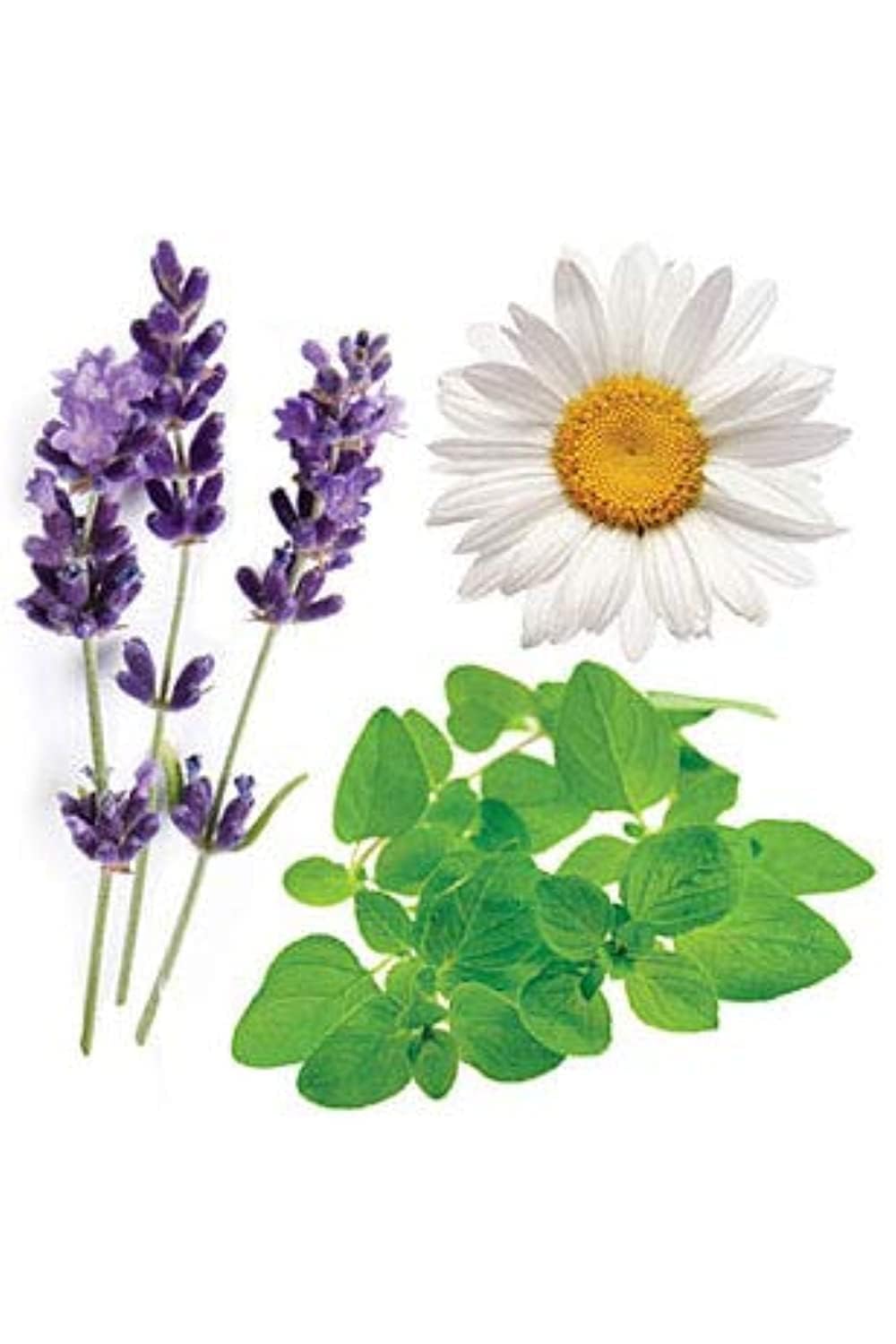 doTERRA Serenity diffusion nocturne crée une ambiance apaisante favorisant le sommeil.