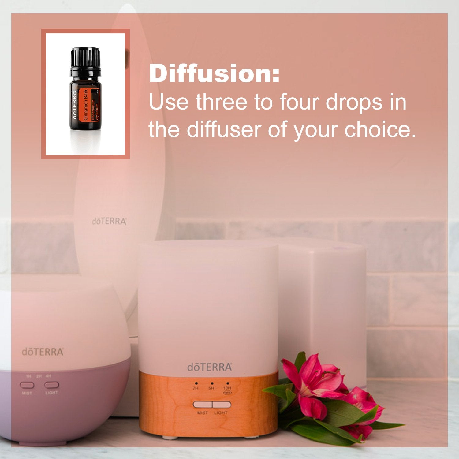 rituel bien-être avec doTERRA cannelle huiles diluées pour massage