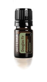 doTERRA Douglas Fir: huile essentielle purifiante pour l'air et humeur positive.