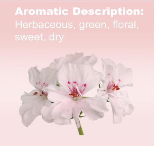 doTERRA Géranium étiquette en gros plan et pureté visibles.