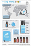 doTERRA Ylang Ylang aromathérapie fleurs, harmonisant l'humeur et soulageant le stress.