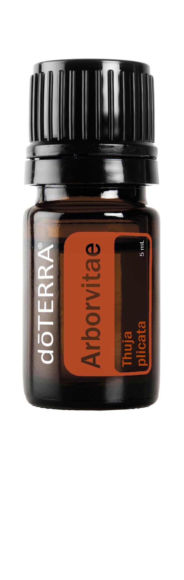 doTERRA Arborvitae huile essentielle 5ml sur bouteille, arôme boisé purifiant