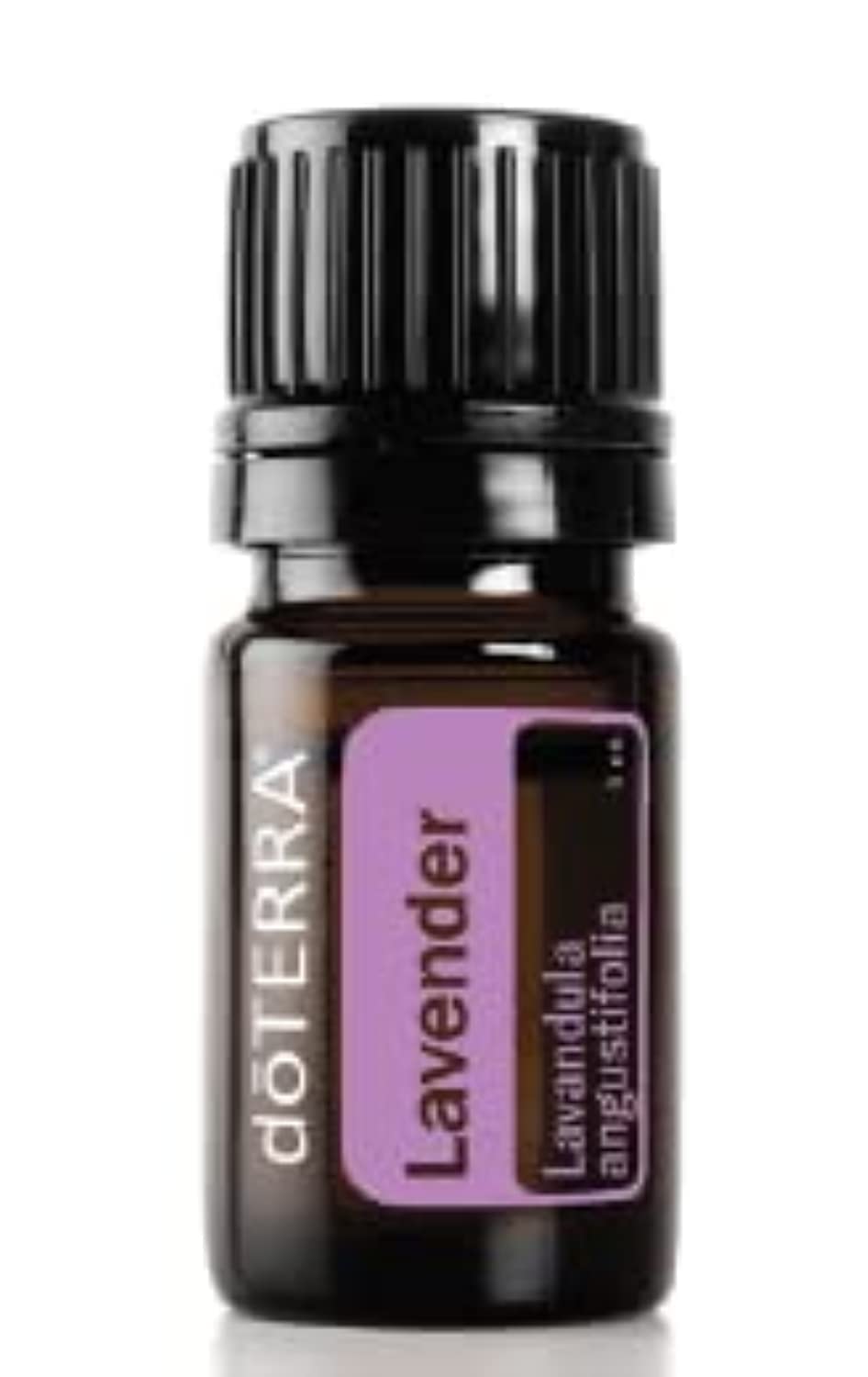 doTERRA coffret présentoir kit: coffret élégant pour découvrir les huiles.
