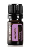 doTERRA coffret présentoir kit: coffret élégant pour découvrir les huiles.