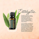 doTERRA Eucalyptus Radiata: inhalation sous douche pour énergie et vitalité