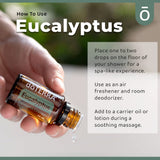 doTERRA Eucalyptus Radiata: nettoyage des surfaces avec parfum frais