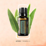 doTERRA Eucalyptus Radiata: rinçage buccal frais et naturel