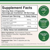 Double Wood Andrographis Max – capsules faciles à prendre au quotidien