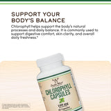 Double Wood Chlorophylle : flacon au rendu visuel riche et naturel