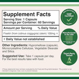Double Wood Fisetin – gélules 100 mg visibles, support potentiel au quotidien.