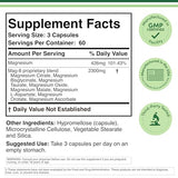 MAG-8 : premier-plan sur les capsules pour une absorption variée et polyvalente.