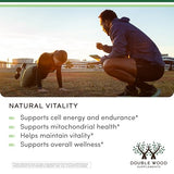 Poudre pure d’Himalaya Shilajit prête à l’emploi.