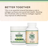 Double Wood Supplements doseur inclus mesurant environ 12 g par prise.