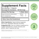 Capsules Turkesterone Double Wood: format pratique pour l’entraînement.