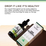 Double Wood chlorophylle gouttes menthe-jus: pratique pour digestion et bien-être.