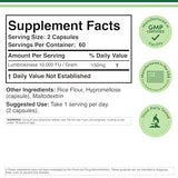 Gélules Double Wood Lumbrokinase, activité élevée de 10 000 FU/g pour soutenir la circulation.
