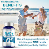 DQQI NMN: composition NAD+ et résveratrol pour soutien antioxydant.