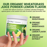 Dr. Berg Nutritionals Chlorophylle naturelle – couleur verte et vitalité.