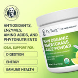 Dr. Berg Nutritionals Cuillère-doseur poudre verte : dose quotidienne pratique.