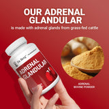 Dr. Berg Adrenal Glandular : mélange propriétaire unique, valeur ajoutée possible.