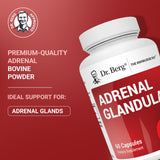 Dr. Berg Adrenal Glandular : poudre surrénales bovines lyophilisée, nutriments potentiels.