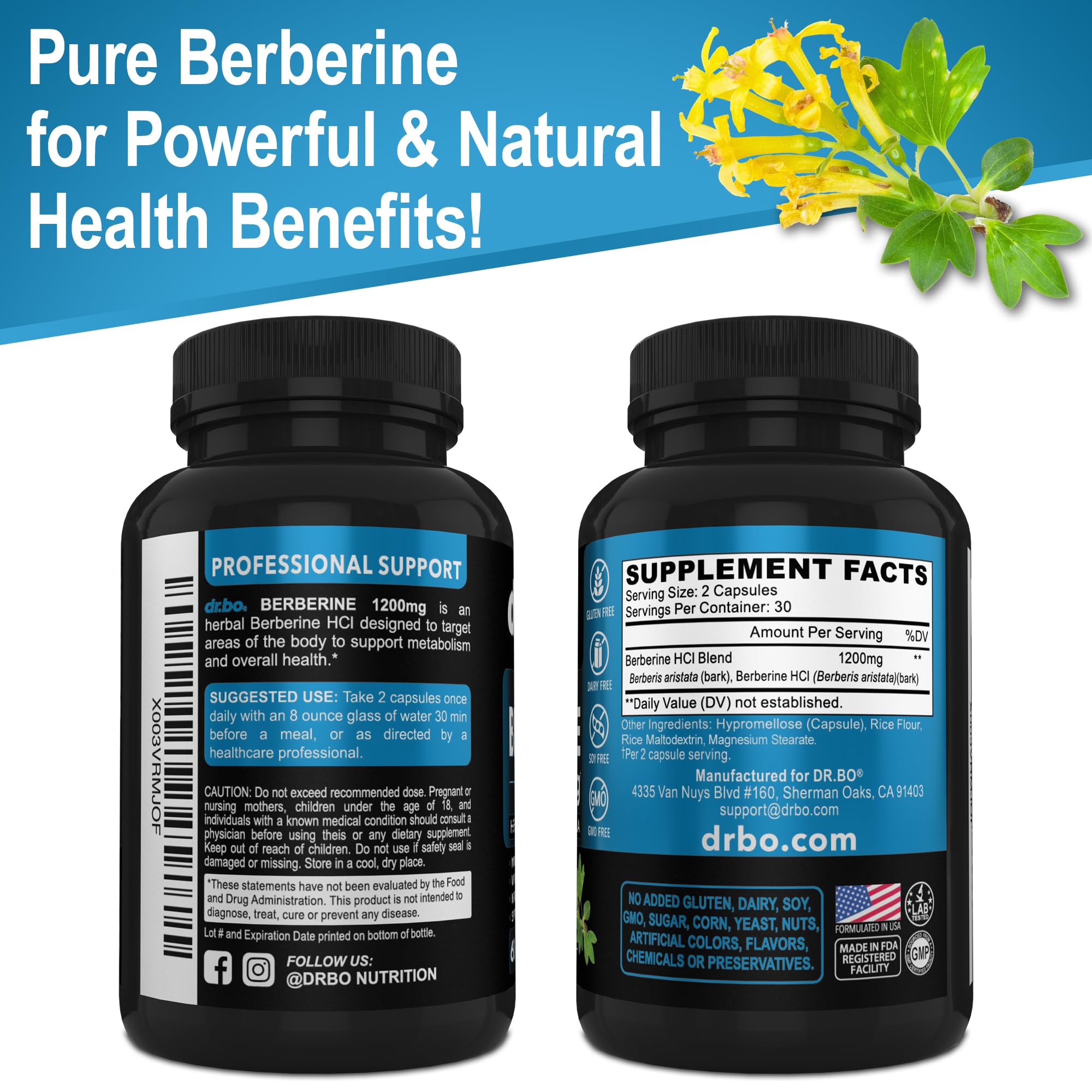 Format pratique DR. BO Berberine pour soutenir un mode de vie actif.