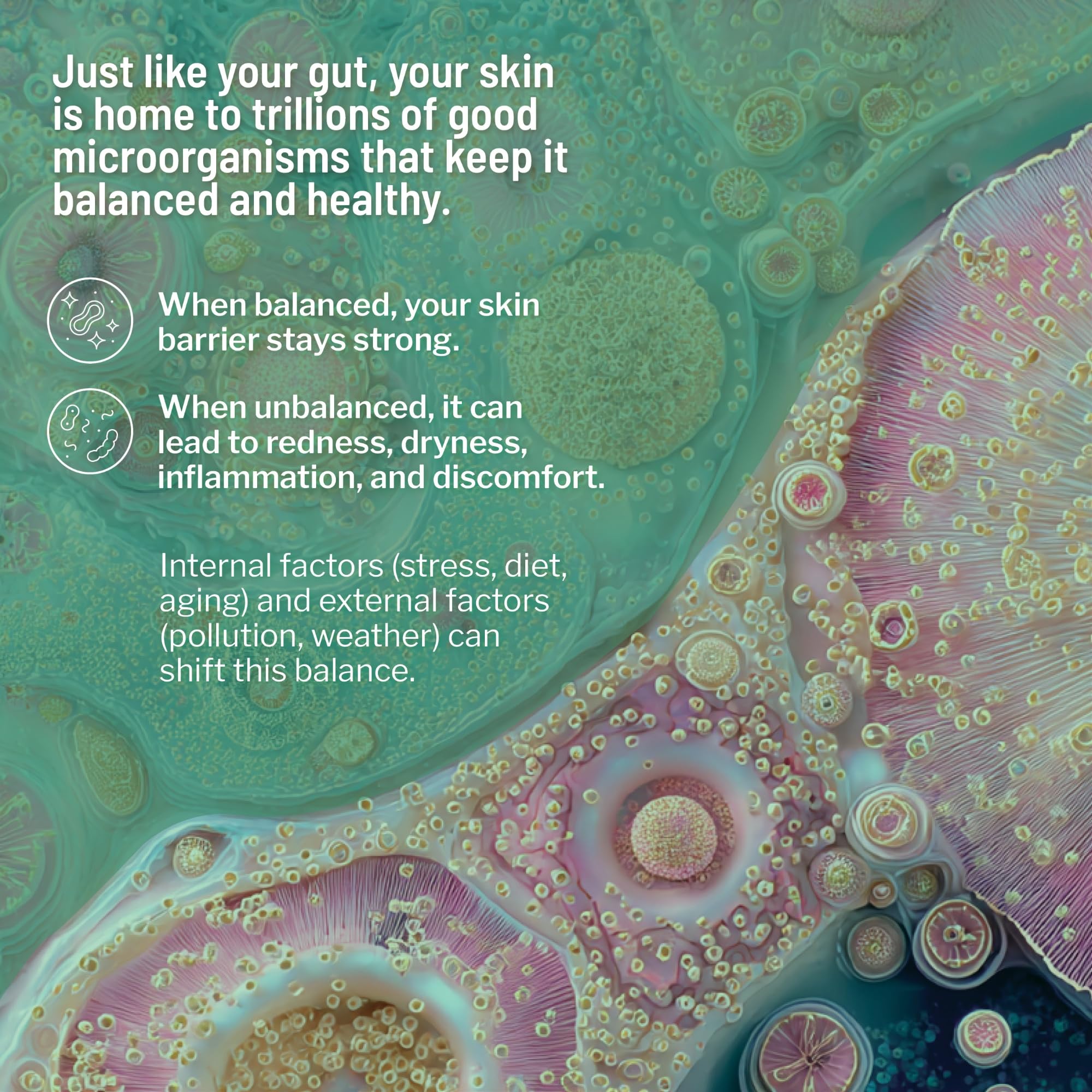 Dr. Brandt Hydro Biotic utilisation nocturne: appliquez sur sérum et laissez agir.