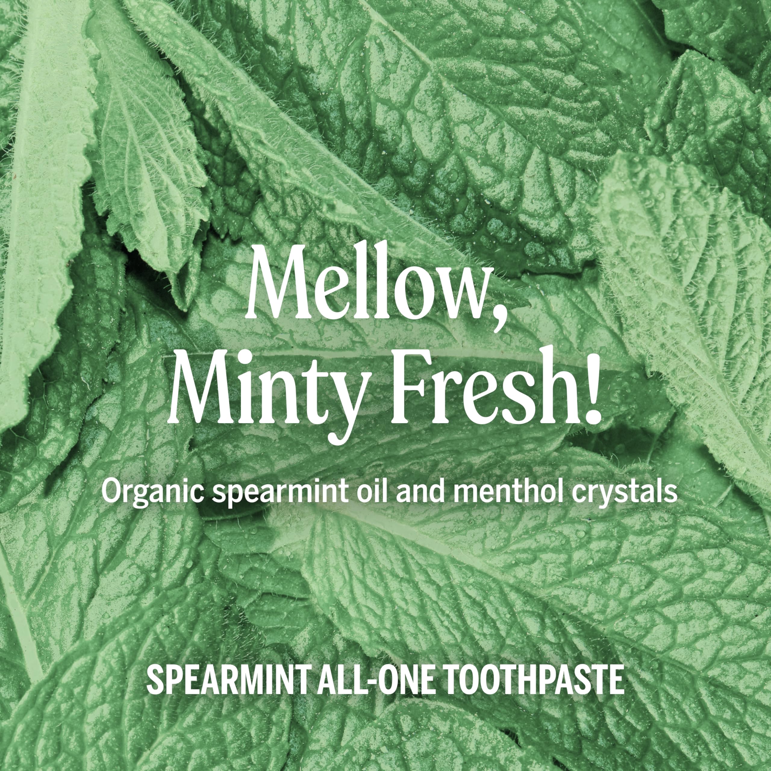 Ingrédients biologiques et équitables dans le dentifrice Dr. Bronner’s All-One