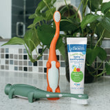 Emballage attrayant Dr. Brown's prêt à offrir la brosse dinosaure.