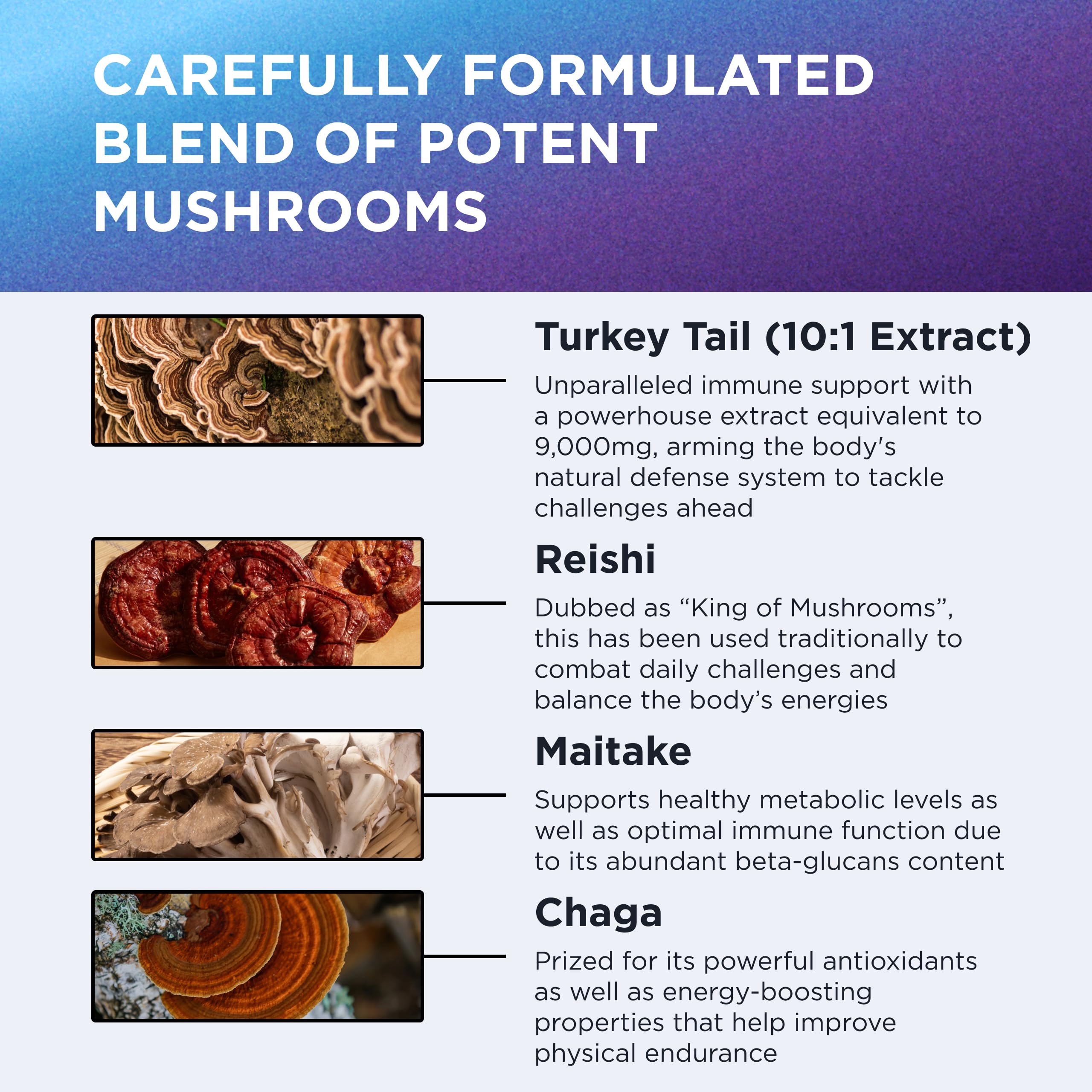 DR. EMIL NUTRITION Elite association de champignons pour énergie et soutien quotidien.