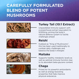 DR. EMIL NUTRITION Elite association de champignons pour énergie et soutien quotidien.