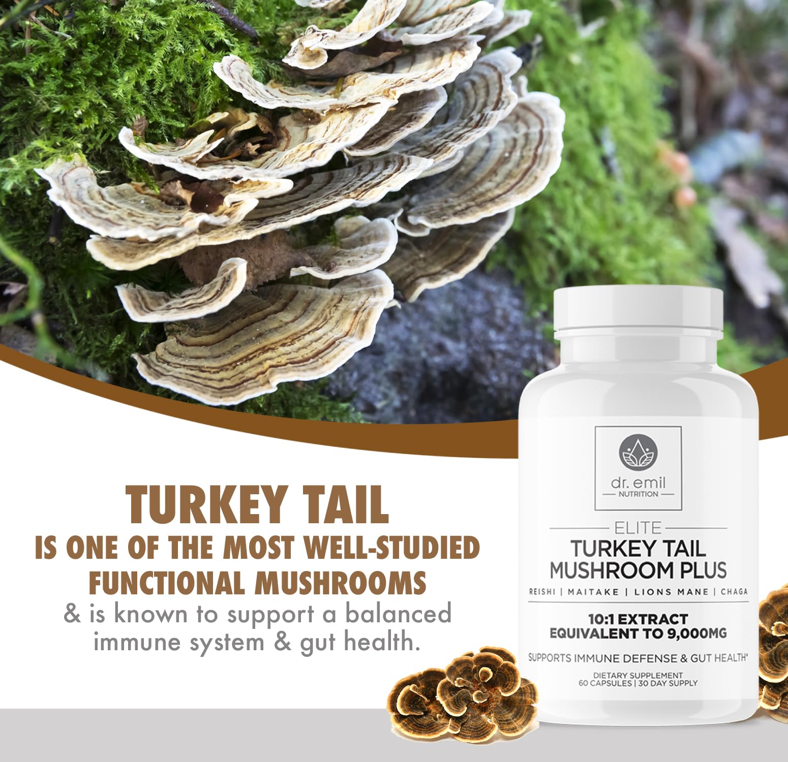 DR. EMIL NUTRITION Immunité et flore intestinale équilibrée grâce au mélange champignons.