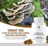 DR. EMIL NUTRITION Immunité et flore intestinale équilibrée grâce au mélange champignons.