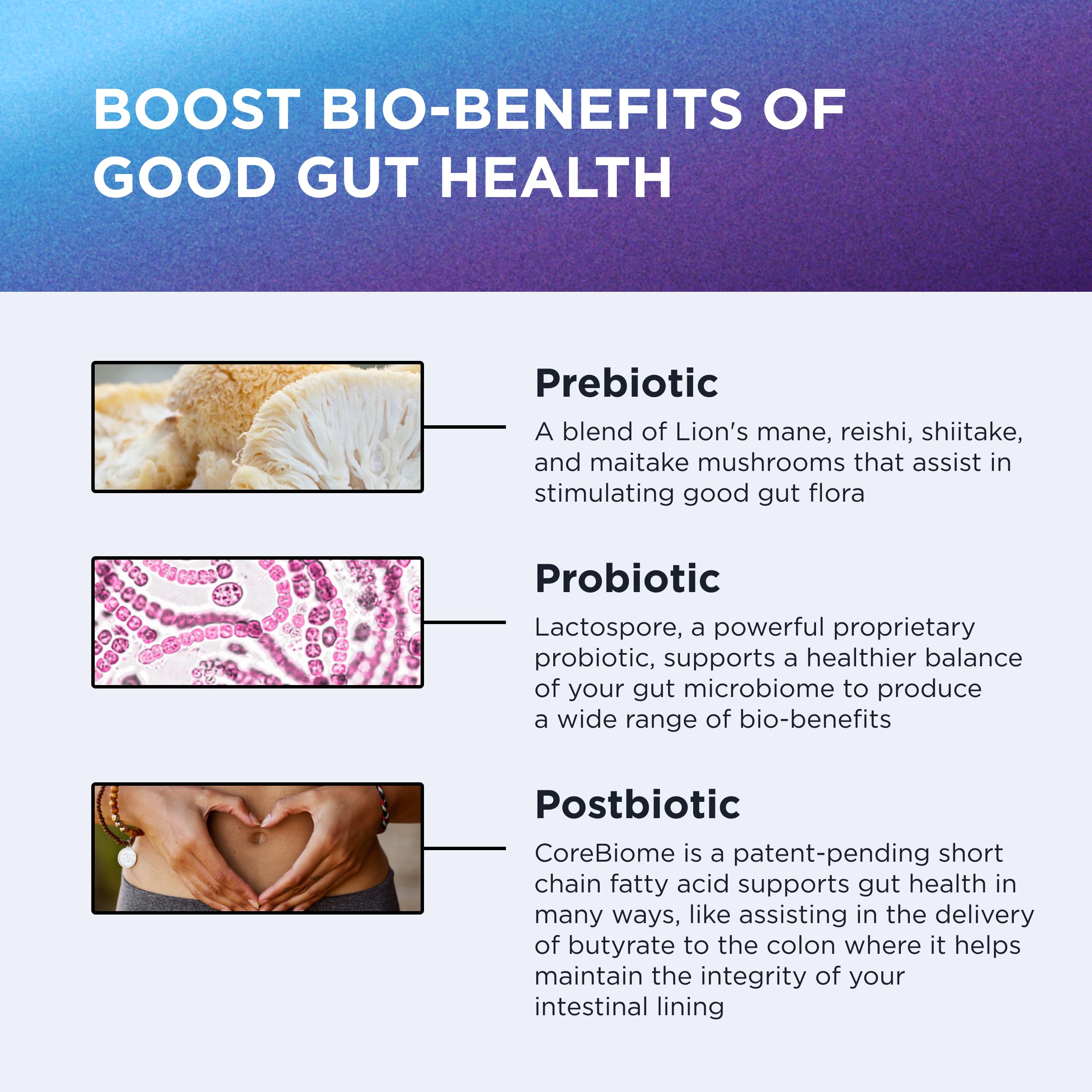 Postbiotiques CoreBiome dans DR. EMIL NUTRITION Total Gut Health Complex, soutien additionnel potentiel.