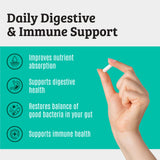 Dr. Matthew – Quinze souches probiotiques pour soutenir la digestion quotidienne.
