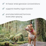 Dr. Mercola Bark & Whiskers – close-up des ingrédients pour évaluer la qualité.