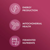 Dr Mercola Betteraves Fermentées – emballage sans gluten et sans allergènes