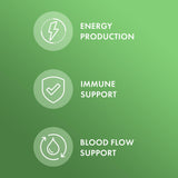 Capsules lyophilisées Dr Mercola, format pratique pour l’apport journalier.