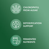 Dr. Mercola Chlorelle — 90 portions, dosage quotidien simple.