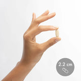 Préparation facile: dissolution dans boisson chaude ou froide avec Dr. Mercola Collagen Complex.