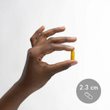 Gros plan sur les capsules Dr. Mercola Curcumin Advanced, couleur et texture.