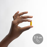 Dr. Mercola Curcumin Advanced, emballage, sans OGM, gluten et soja.
